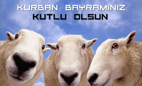 kurban_1.jpg